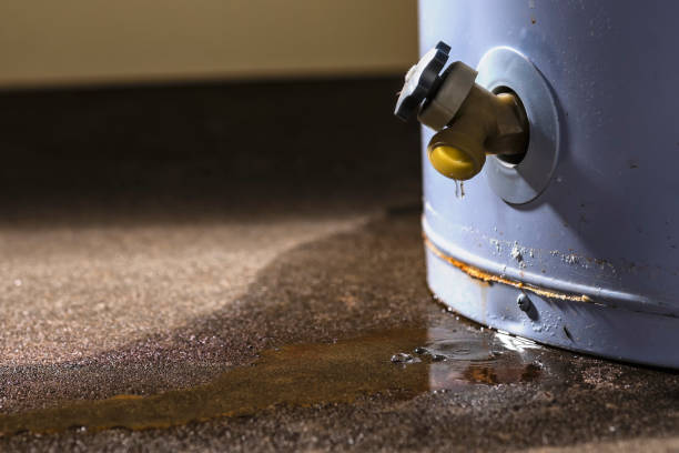 Trusted MI Water damage restoration Experts