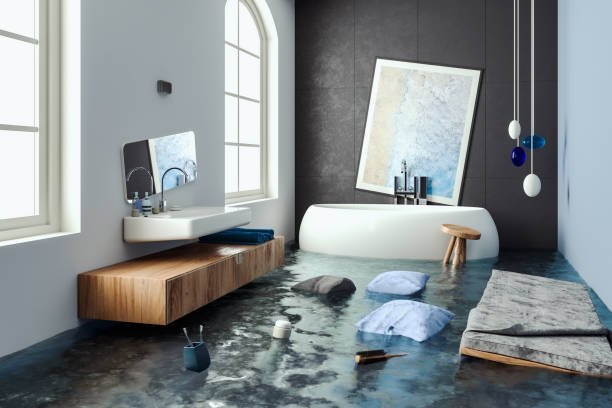 Best Professional water damage repair  in Kalamazoo, MI