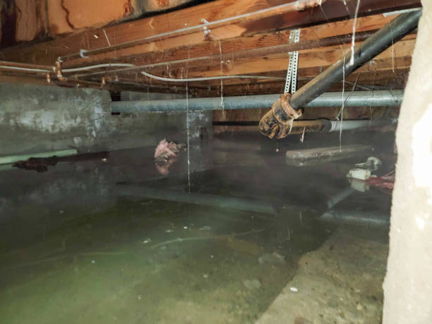 Best 24-hour water damage restoration  in Kalamazoo, MI