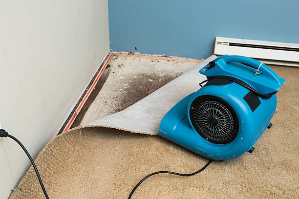 Best Water damage contractors near me  in Kalamazoo, MI